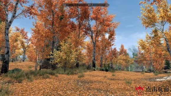 《上古卷轴5：天际》新画质MOD 整个世界生机勃勃